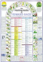  © Healing Herbs